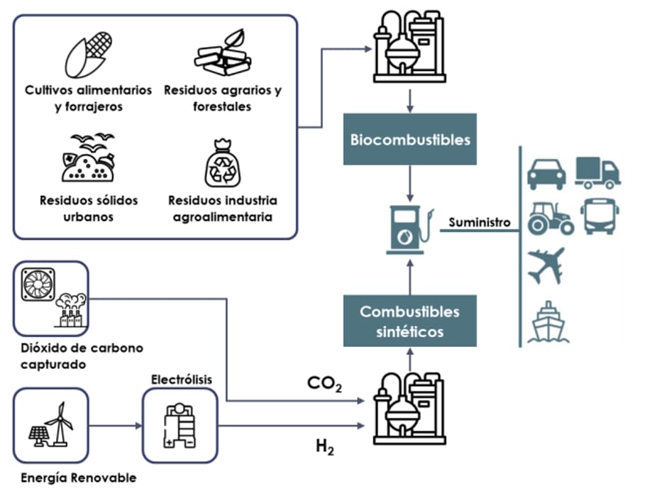 etiquetas-combustibles-3.jpg