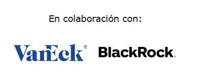 logo-vaneck-blackrock.jpg