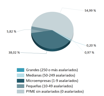 pymes-espana-2025-grafico.png