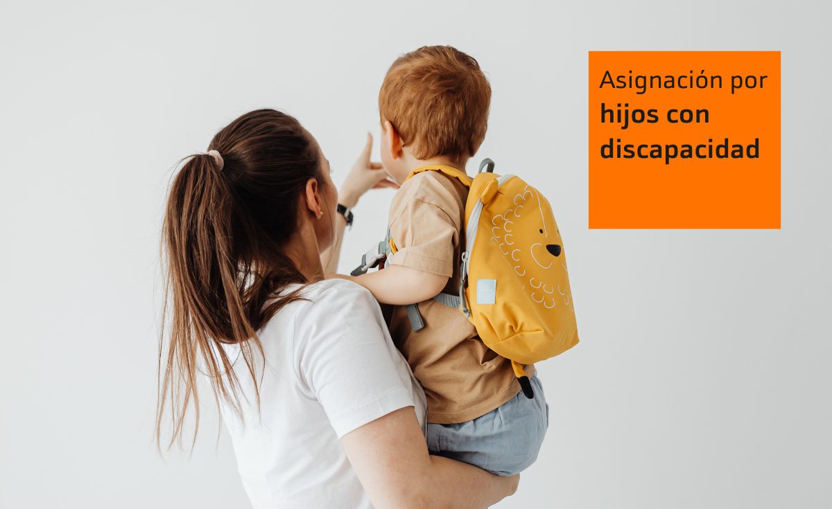 asignacion-hijos-discapacidad.jpg