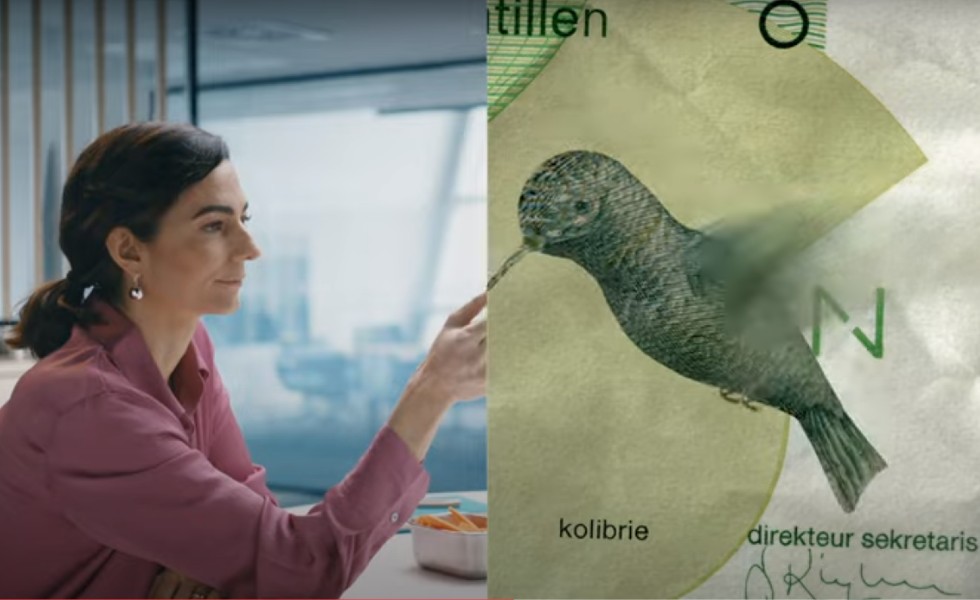 campaña-partner.jpg