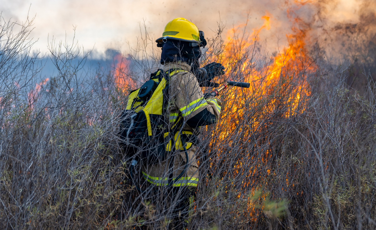 Beneficios-laborales-incendios.png