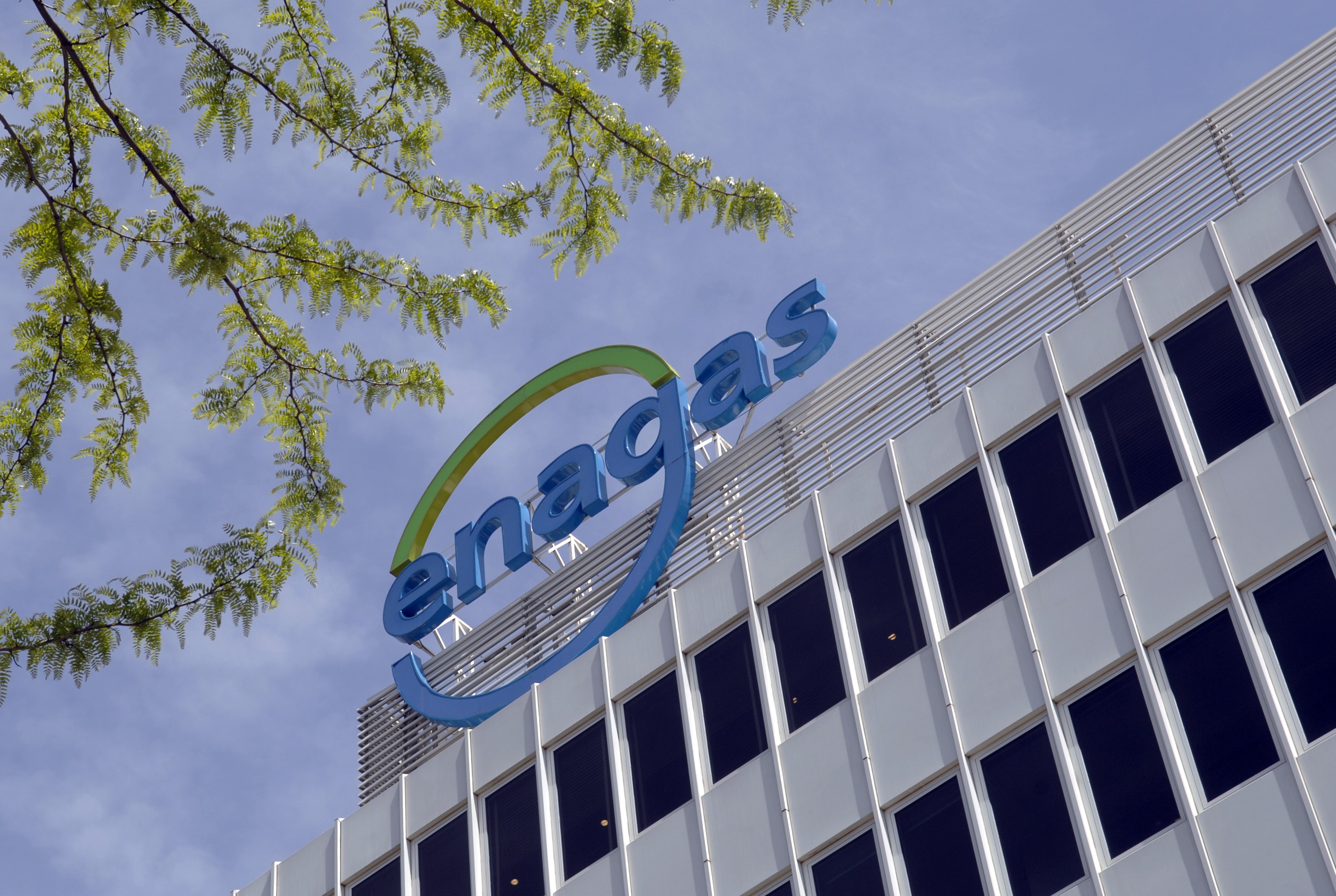 3146.enagas-analisis