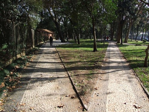 3683.Estrategia-tremestral