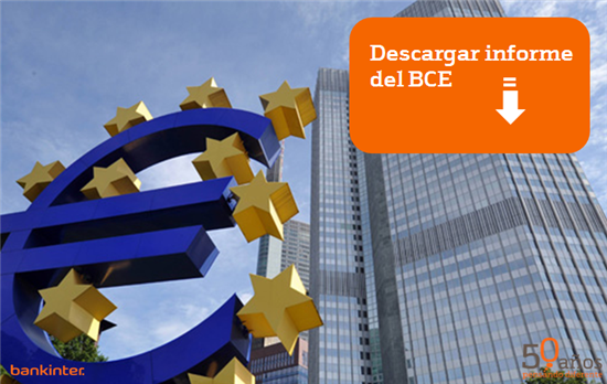 2541.informe-bce-completo
