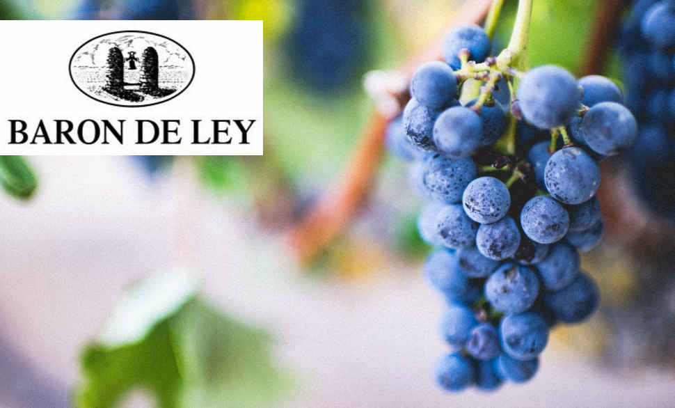 Resultados Barón de Ley