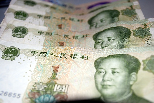0245.yuan