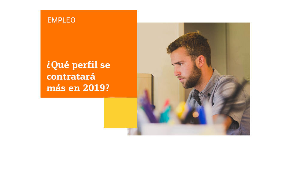 perfil mas demandado 2019