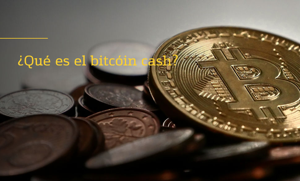 q es bitcoin cash