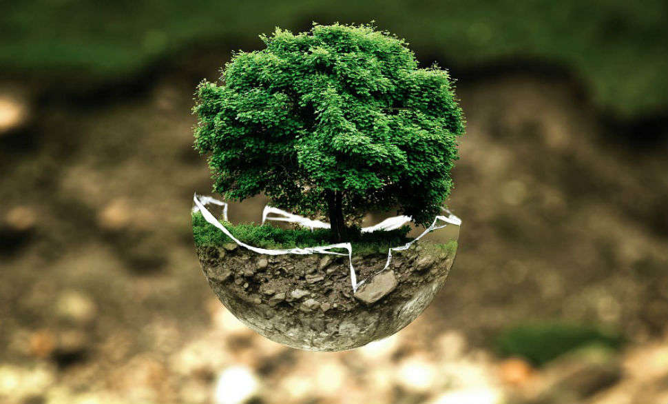 cambio climático trabajos