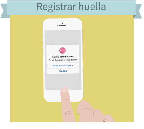 8004.3.-registra