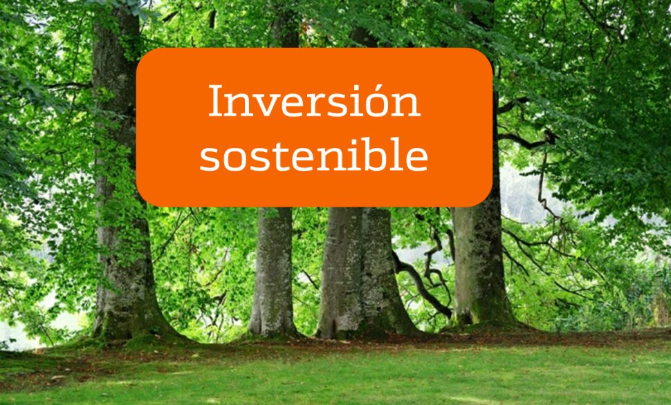 inversion_sostenible_.png