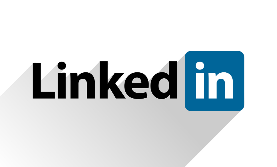 LinkedIn seguidores