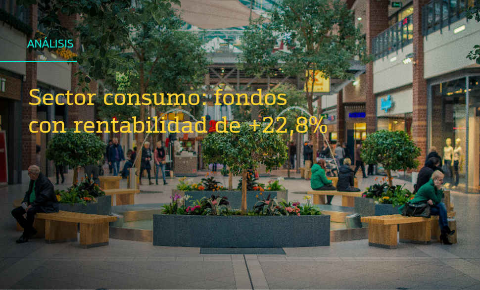 sector consumo