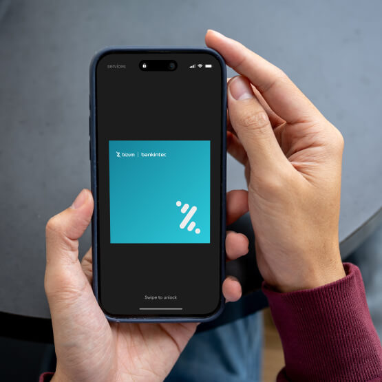 bizum-pay-3.jpg