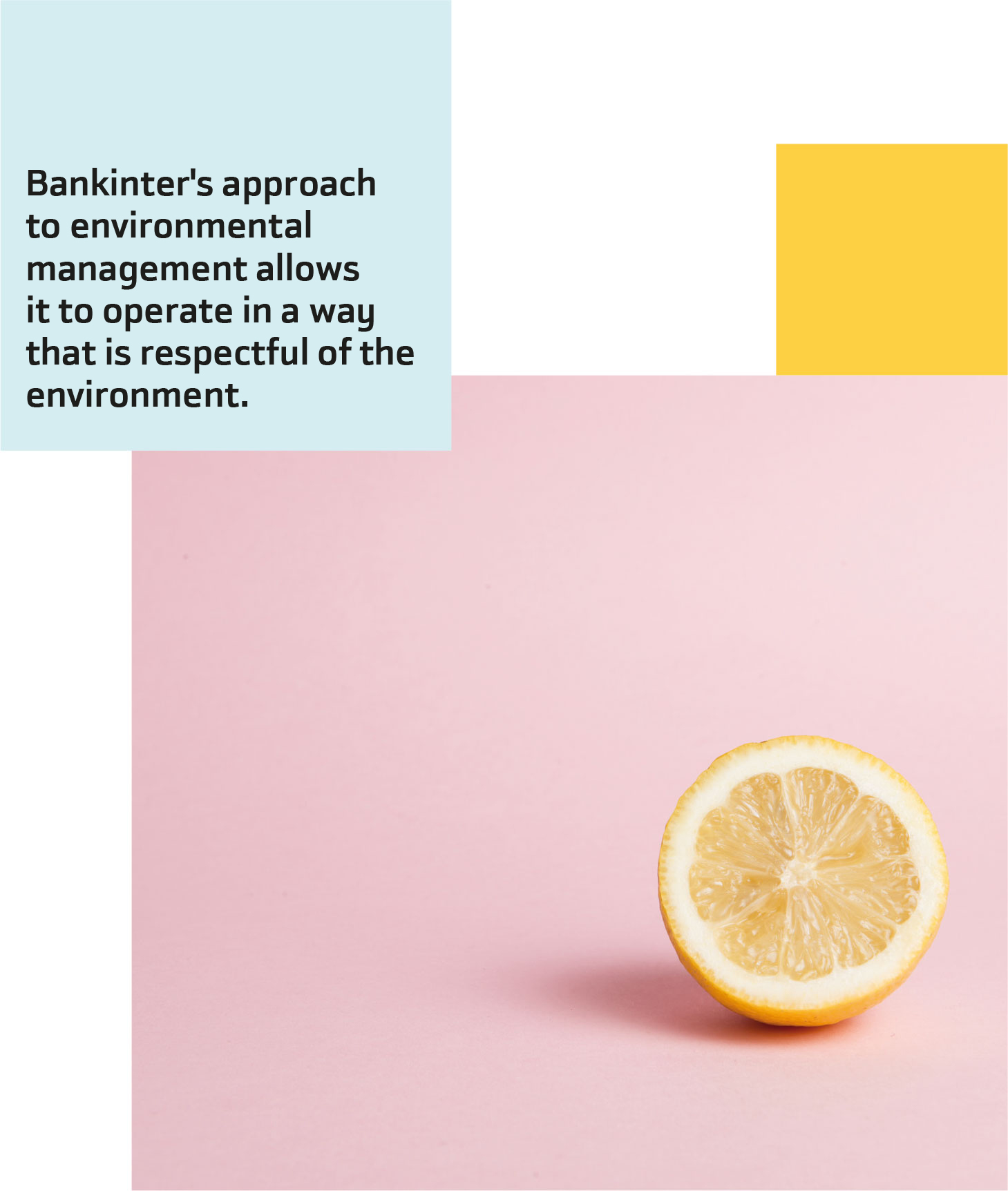 Bankinter's approach to environmental management allows it to operate in a way that is respectful of the environment.