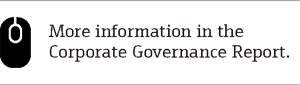 Más información en el Informe de Gobierno Corporativo
